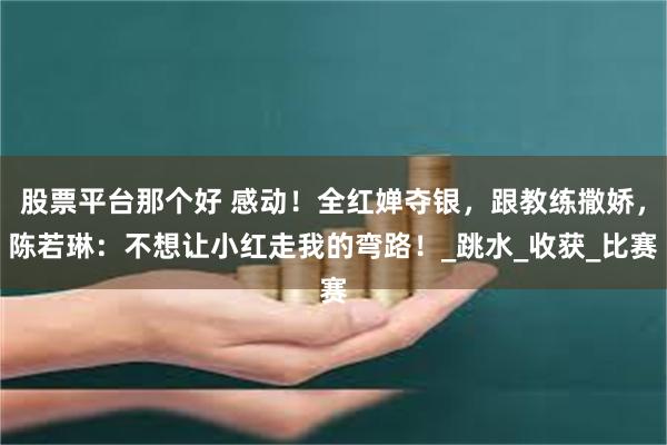 股票平台那个好 感动！全红婵夺银，跟教练撒娇，陈若琳：不想让小红走我的弯路！_跳水_收获_比赛