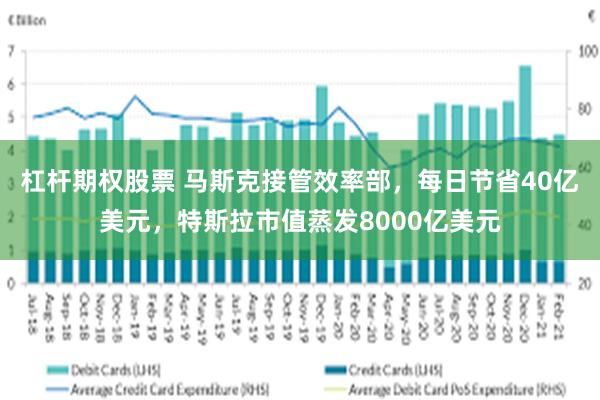 杠杆期权股票 马斯克接管效率部，每日节省40亿美元，特斯拉市值蒸发8000亿美元