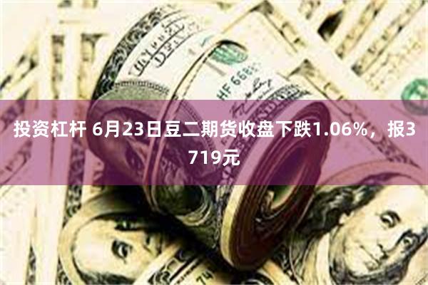 投资杠杆 6月23日豆二期货收盘下跌1.06%，报3719元